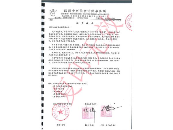 验资报告